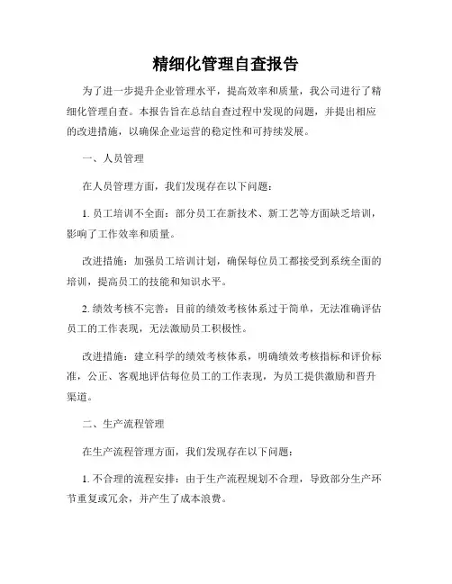 精细化管理自查报告