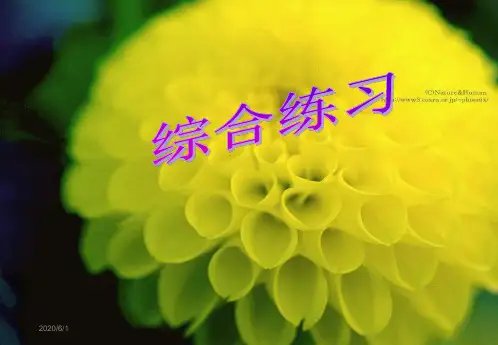 新人教版小学数学一年级下册认识时间练习-精品课件