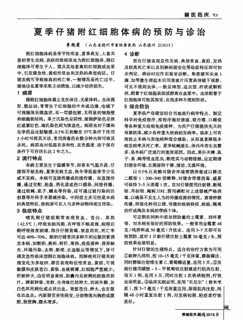 夏季仔猪附红细胞体病的预防与诊治