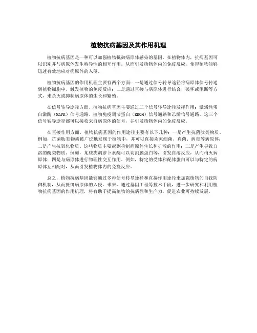 植物抗病基因及其作用机理
