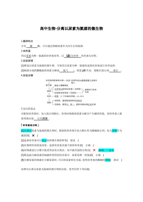高中生物-分离以尿素为氮源的微生物