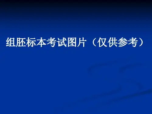 组胚标本考试