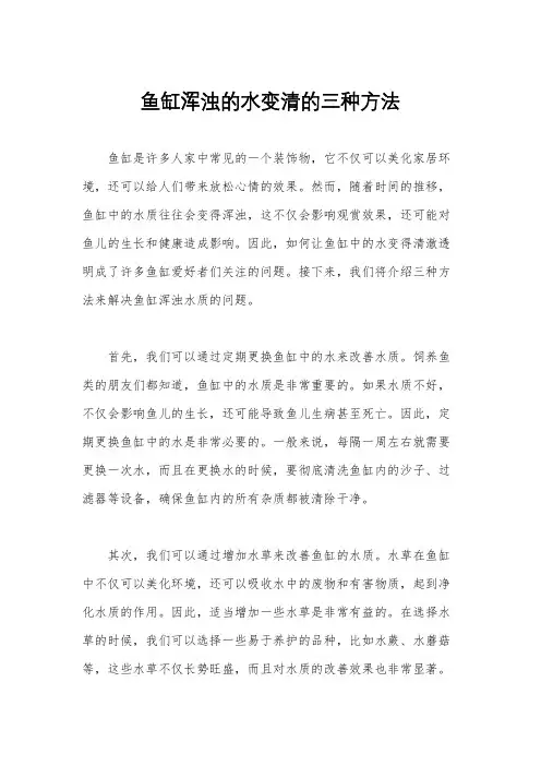 鱼缸浑浊的水变清的三种方法