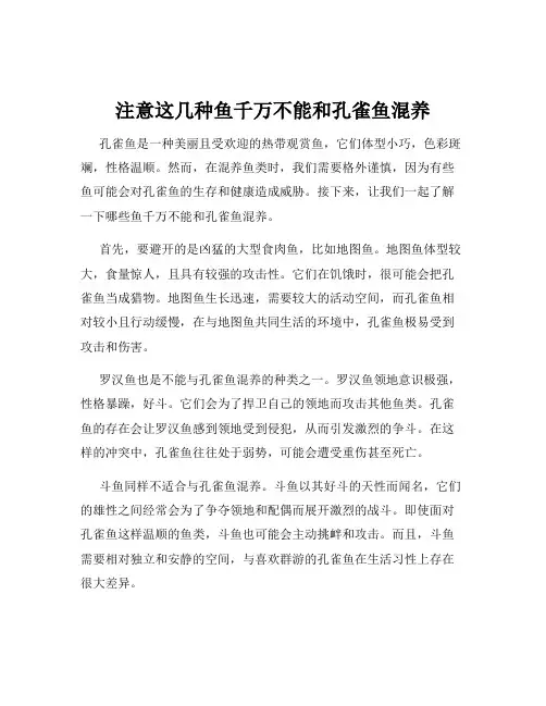注意这几种鱼千万不能和孔雀鱼混养