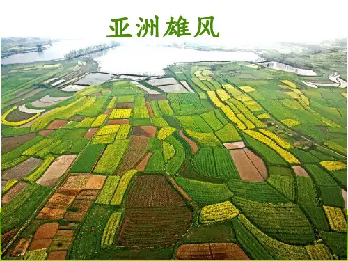 新人教版地理《自然环境》实用PPT