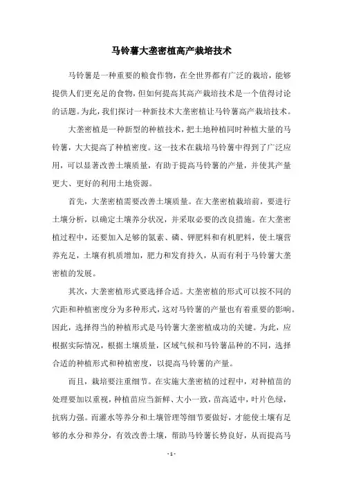 马铃薯大垄密植高产栽培技术