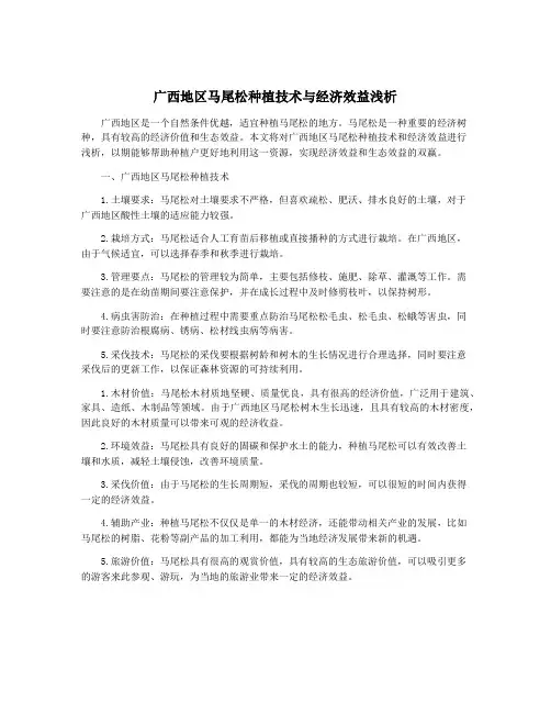 广西地区马尾松种植技术与经济效益浅析