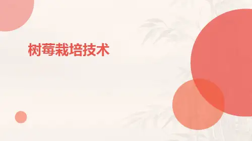 树莓栽培技术