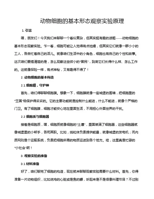 动物细胞的基本形态观察实验原理