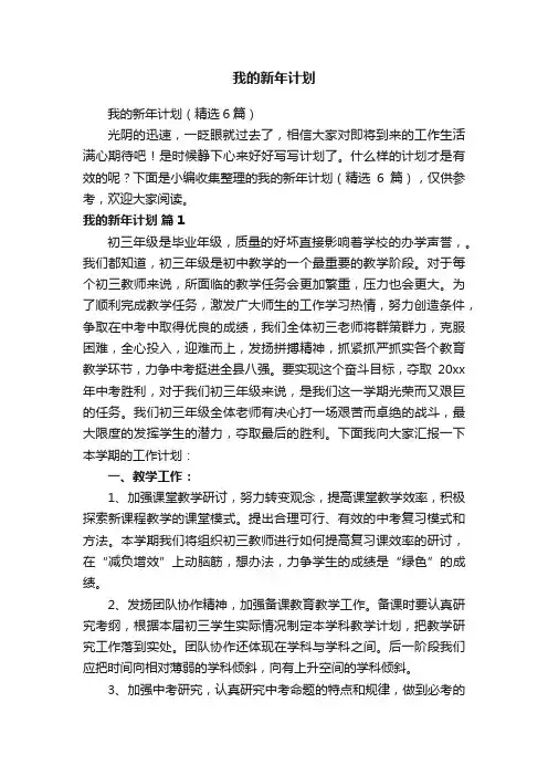 我的新年计划