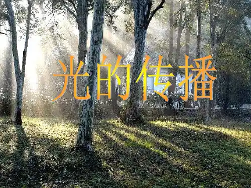 粤教版科学《光的传播》精品系列推荐1