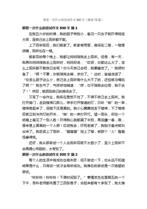 那是一次什么的尝试作文500字（精选78篇）
