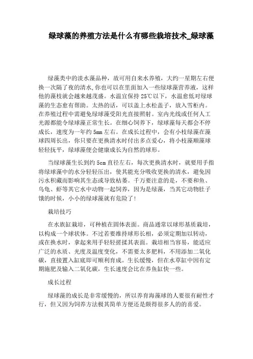 绿球藻