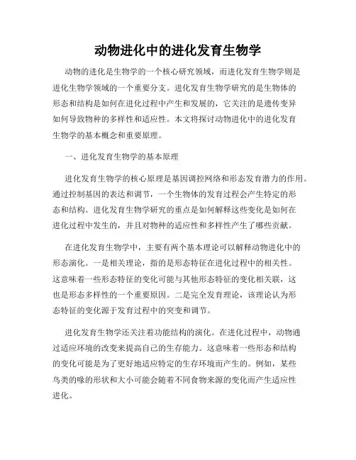 动物进化中的进化发育生物学
