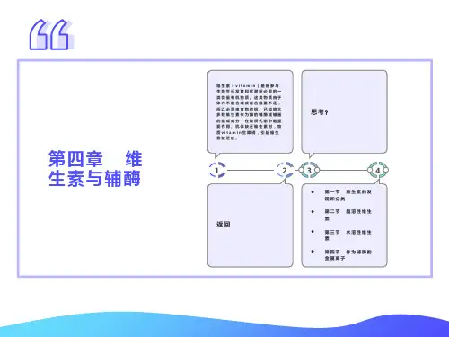 生物化学第7章维生素与辅酶