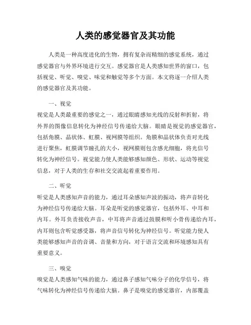 人类的感觉器官及其功能