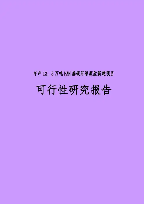 年产12.5万吨PAN基碳纤维原丝新建项目可行性实施报告