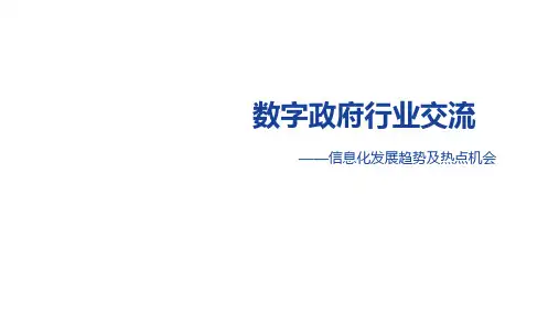 数字政府