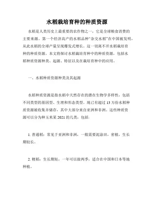 水稻栽培育种的种质资源