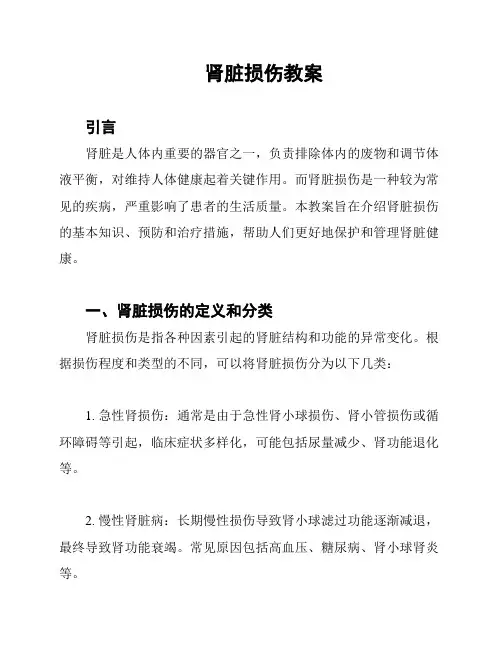 肾脏损伤教案