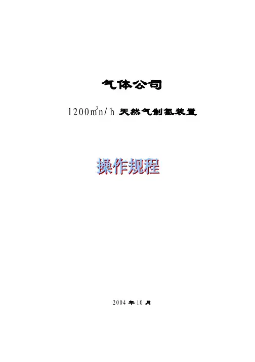 1200m3n_h天然气制氢装置操作规程