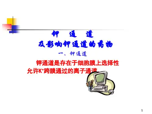 钾通道