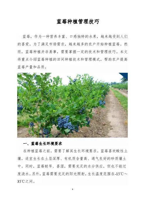 蓝莓种植管理技巧