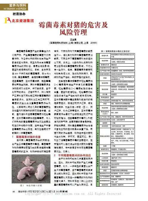 霉菌毒素对猪的危害及风险管理