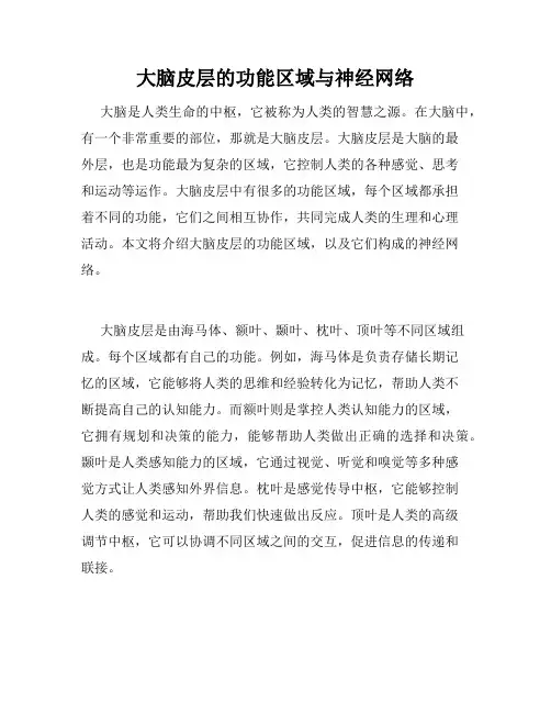 大脑皮层的功能区域与神经网络