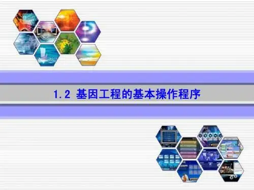 高中生物选修三__基因工程的基本操作程序