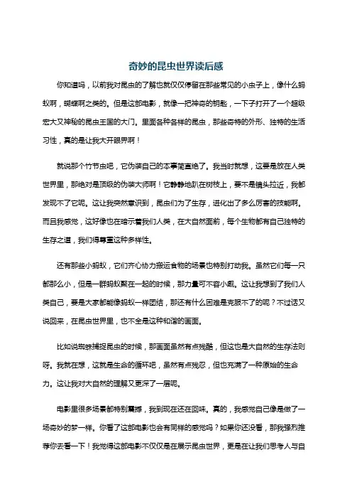 奇妙的昆虫世界读后感
