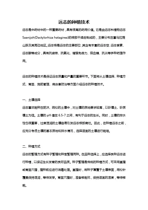 远志的种植技术