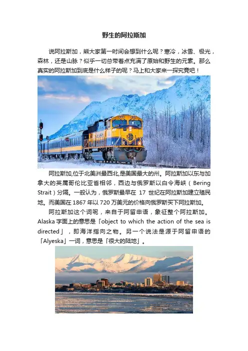野生的阿拉斯加