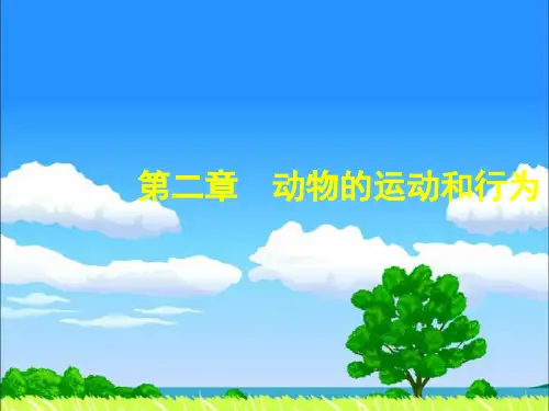 优秀教案《动物的运动》
