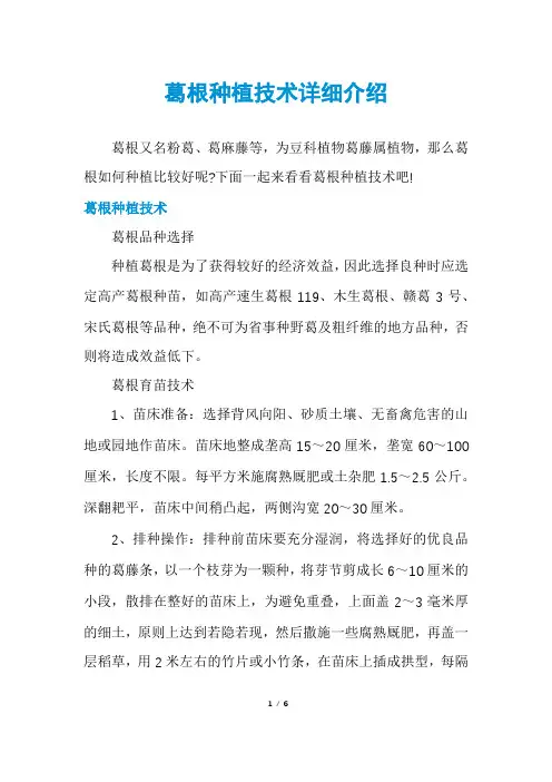 葛根种植技术详细介绍