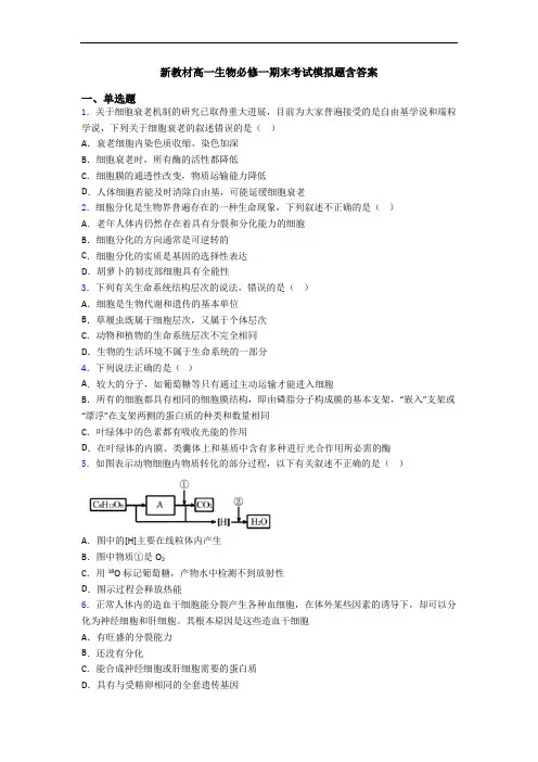 新教材高一生物必修一期末考试模拟题含答案