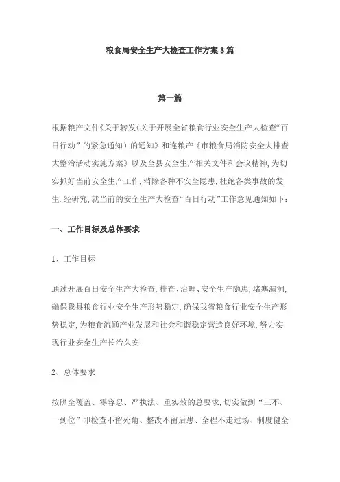粮食局安全生产大检查工作方案精选3篇