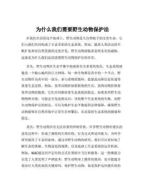 为什么我们需要野生动物保护法