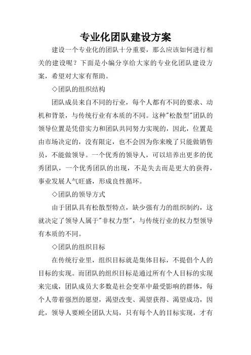 专业化团队建设方案