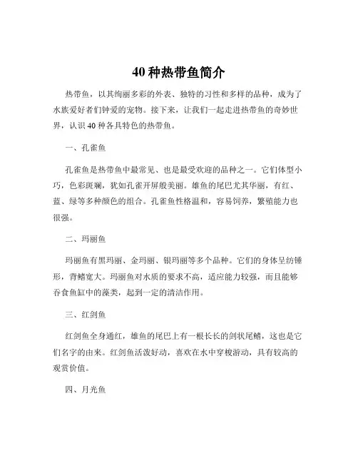 40种热带鱼简介