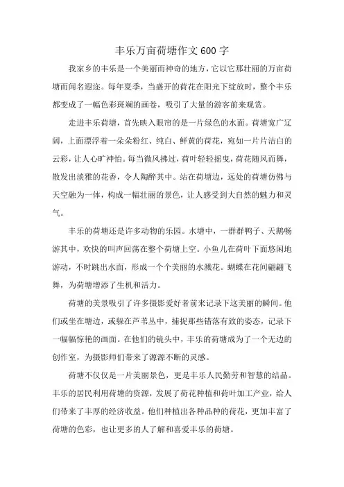丰乐万亩荷塘作文600字