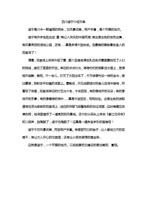 四川遂宁介绍文案