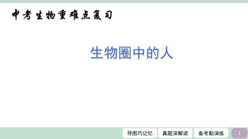 重难点04 生物圈中的人-2024年中考生物重点难点热点课件