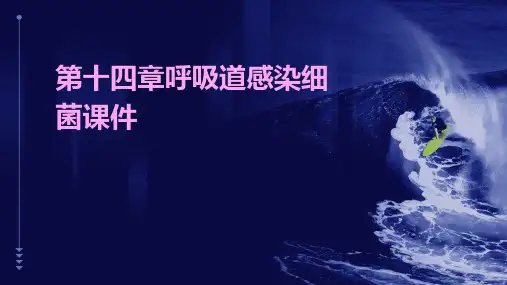 第十四章呼吸道感染细菌课件