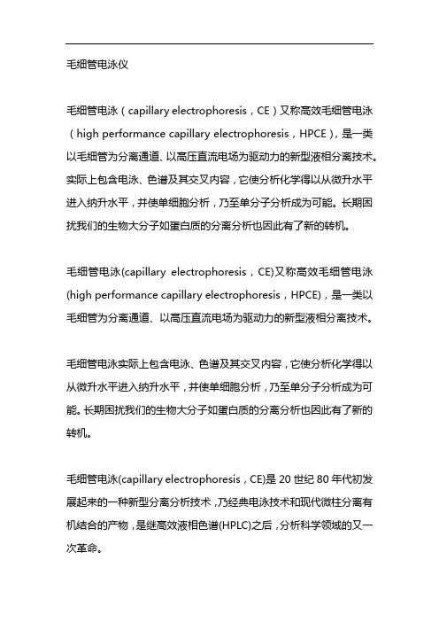 毛细管电泳仪