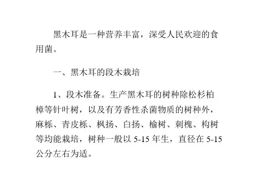 黑木耳种植技术
