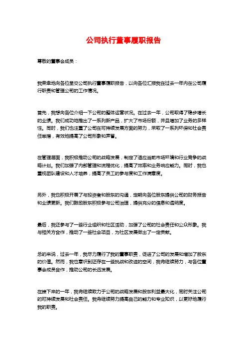 公司执行董事履职报告