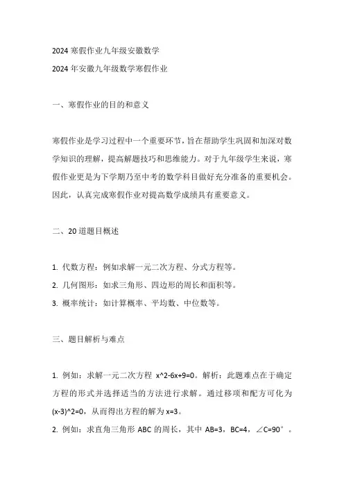 2024寒假作业九年级安徽数学