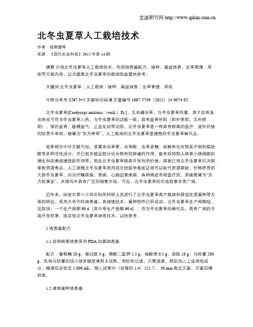 北冬虫夏草人工栽培技术