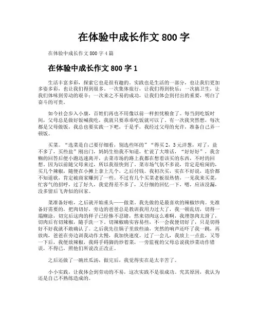 在体验中成长作文800字